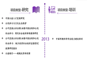 国产逼非评估类项目发展历程